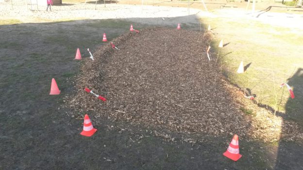 Haselnusstunnel für Eichhörnchen